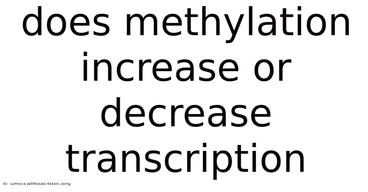 Does Methylation Increase Or Decrease Transcription