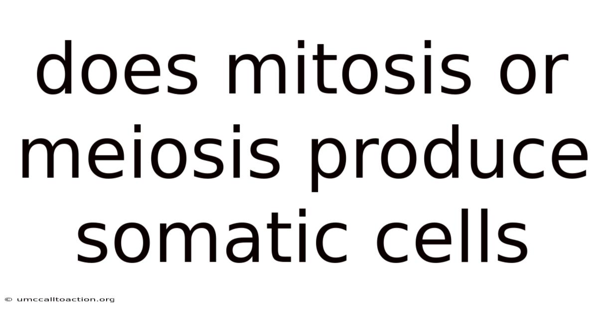 Does Mitosis Or Meiosis Produce Somatic Cells