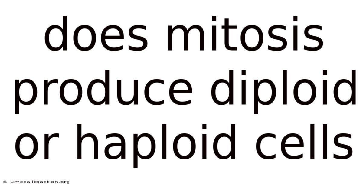 Does Mitosis Produce Diploid Or Haploid Cells
