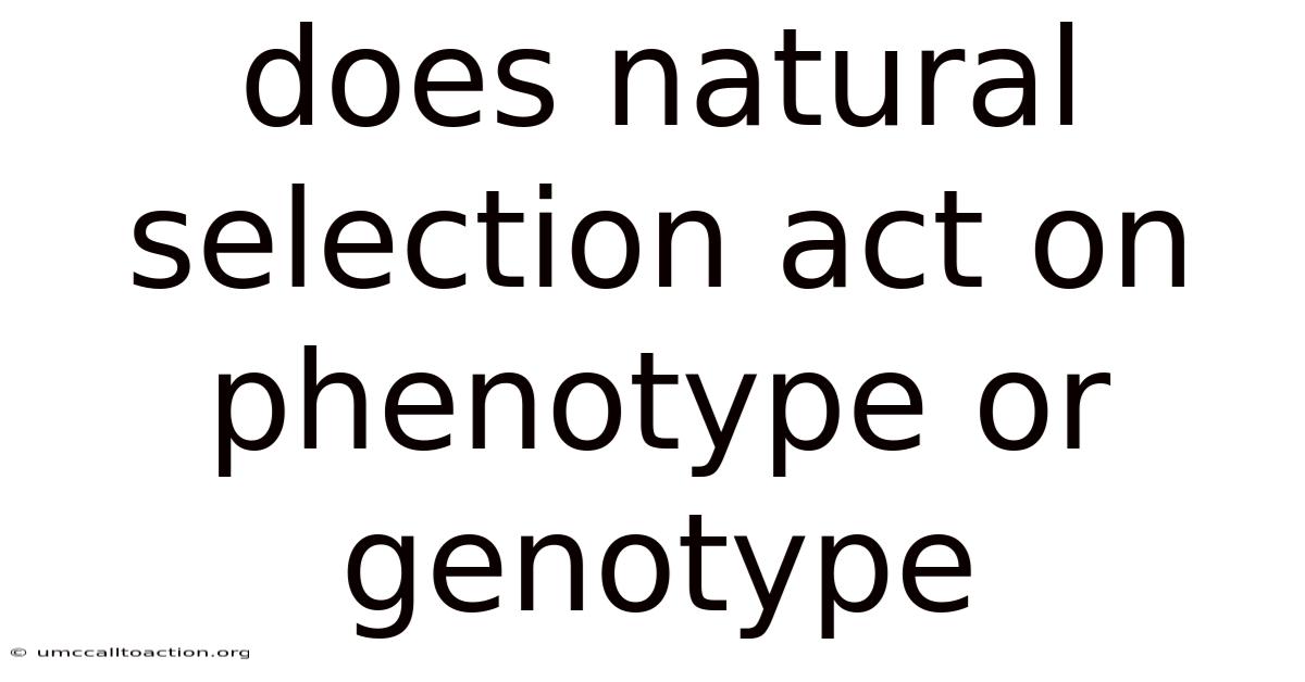 Does Natural Selection Act On Phenotype Or Genotype