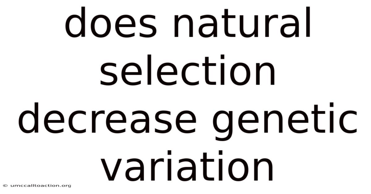 Does Natural Selection Decrease Genetic Variation