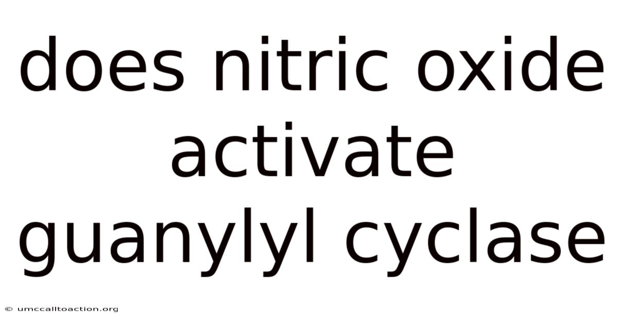 Does Nitric Oxide Activate Guanylyl Cyclase