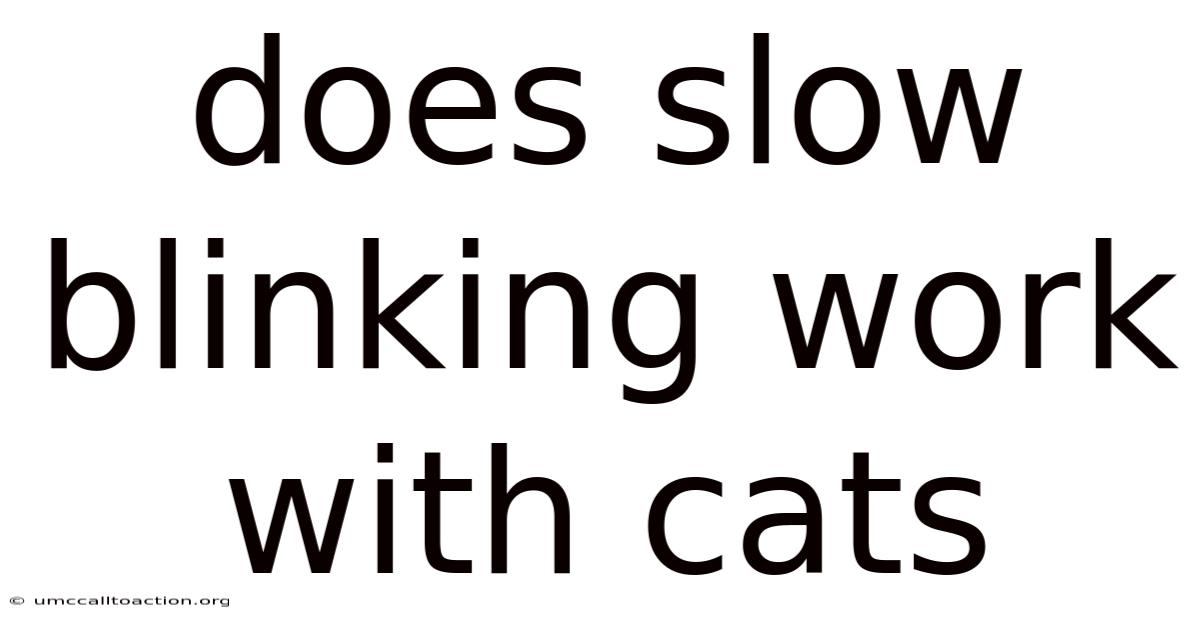 Does Slow Blinking Work With Cats