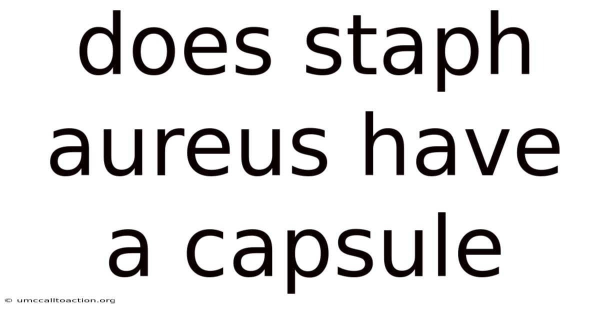 Does Staph Aureus Have A Capsule