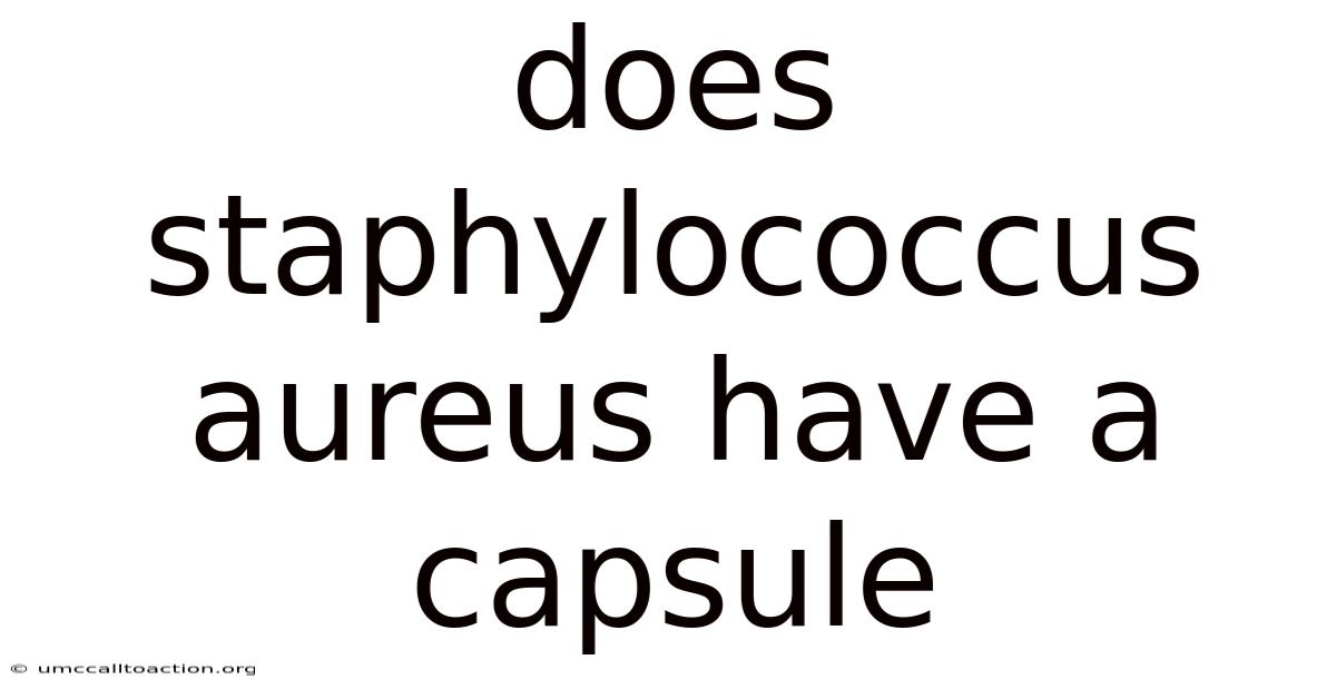 Does Staphylococcus Aureus Have A Capsule