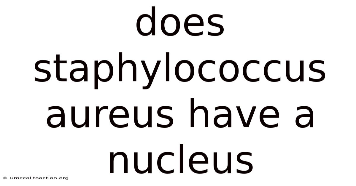 Does Staphylococcus Aureus Have A Nucleus