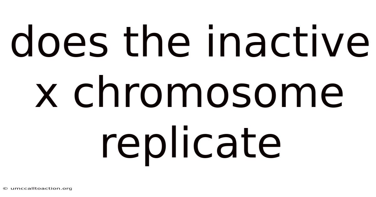 Does The Inactive X Chromosome Replicate