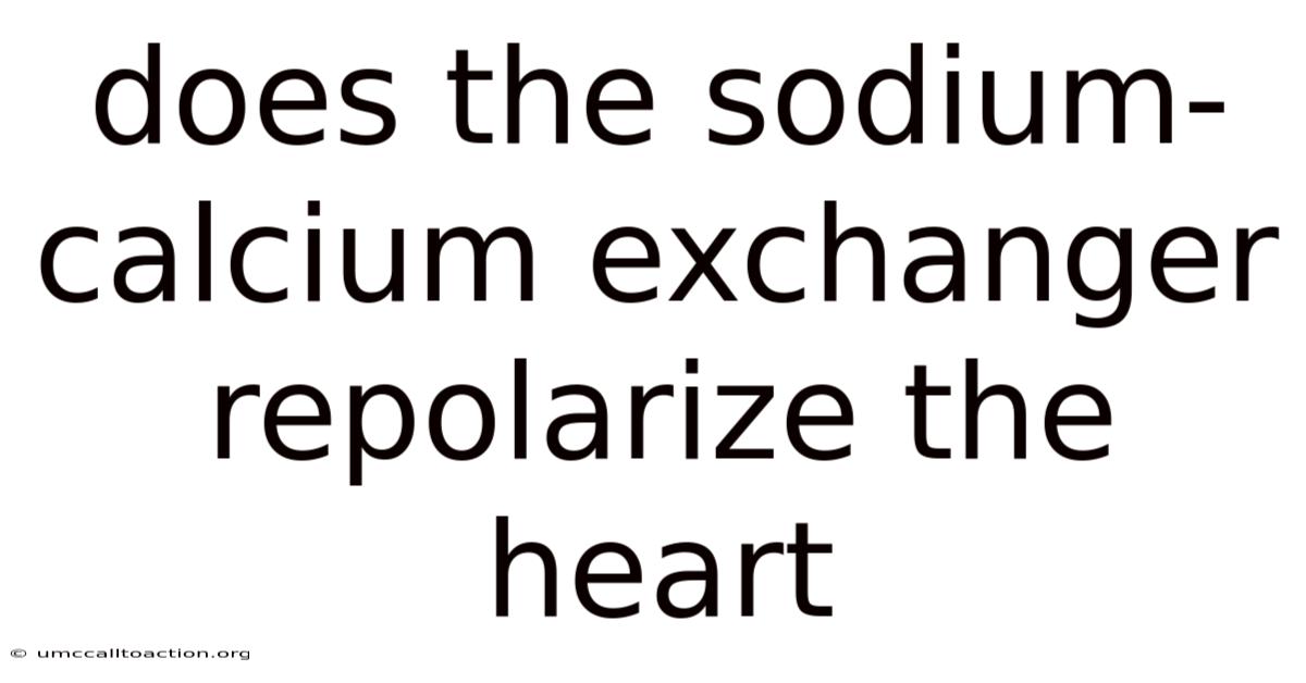 Does The Sodium-calcium Exchanger Repolarize The Heart