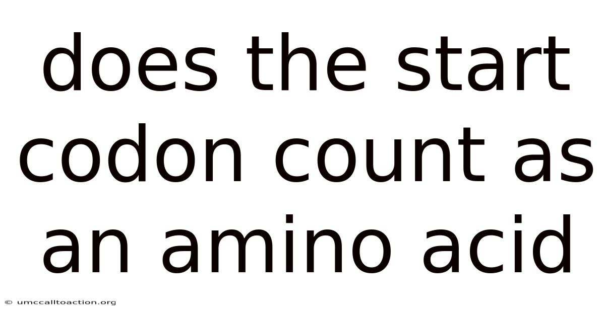 Does The Start Codon Count As An Amino Acid
