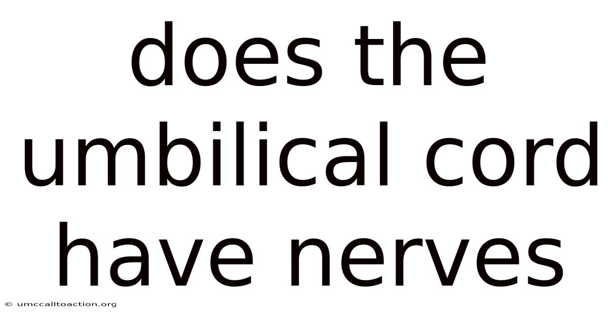 Does The Umbilical Cord Have Nerves