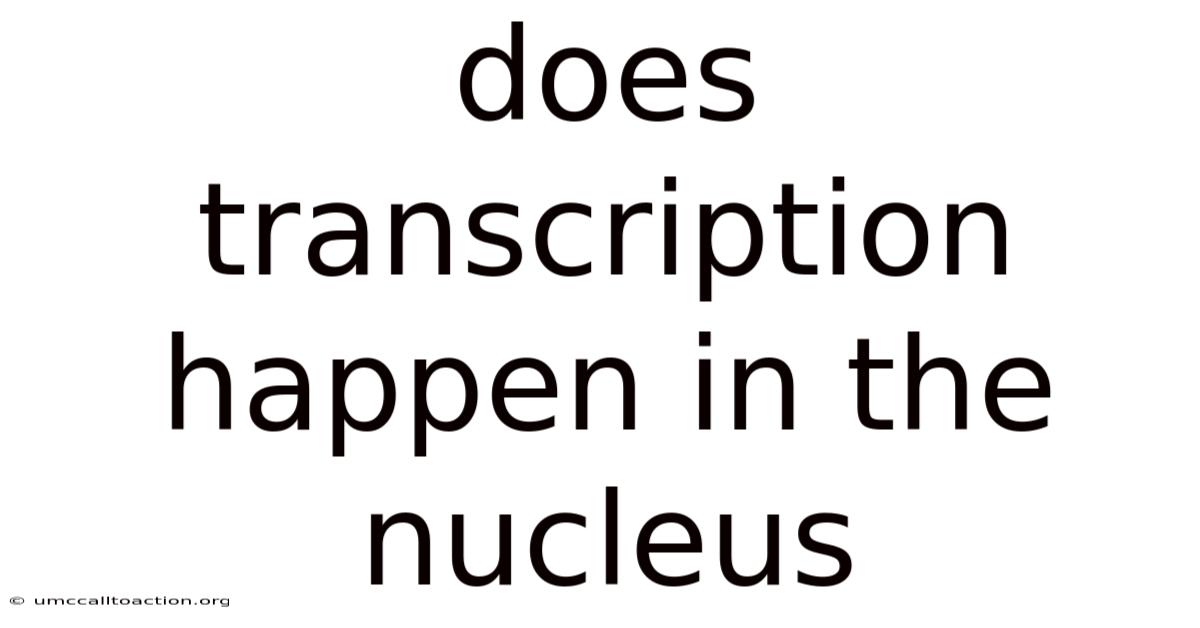 Does Transcription Happen In The Nucleus