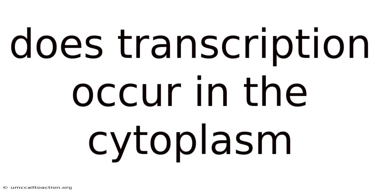 Does Transcription Occur In The Cytoplasm