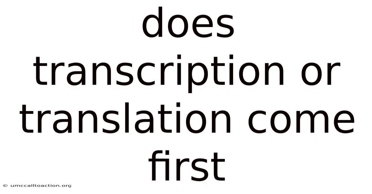 Does Transcription Or Translation Come First