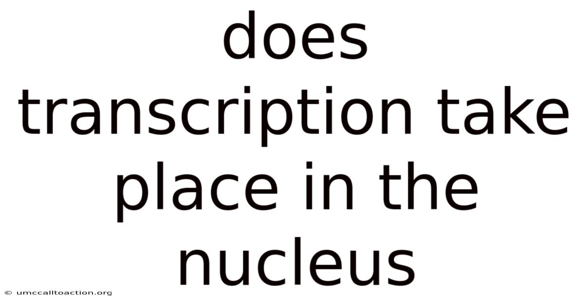 Does Transcription Take Place In The Nucleus