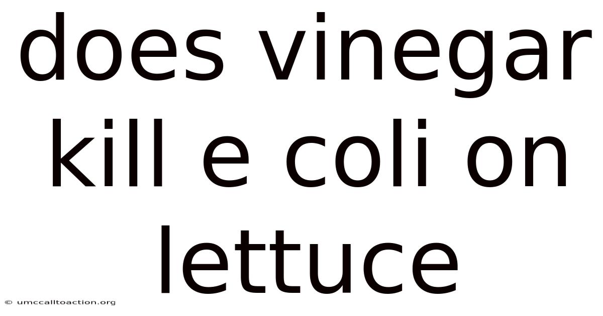Does Vinegar Kill E Coli On Lettuce