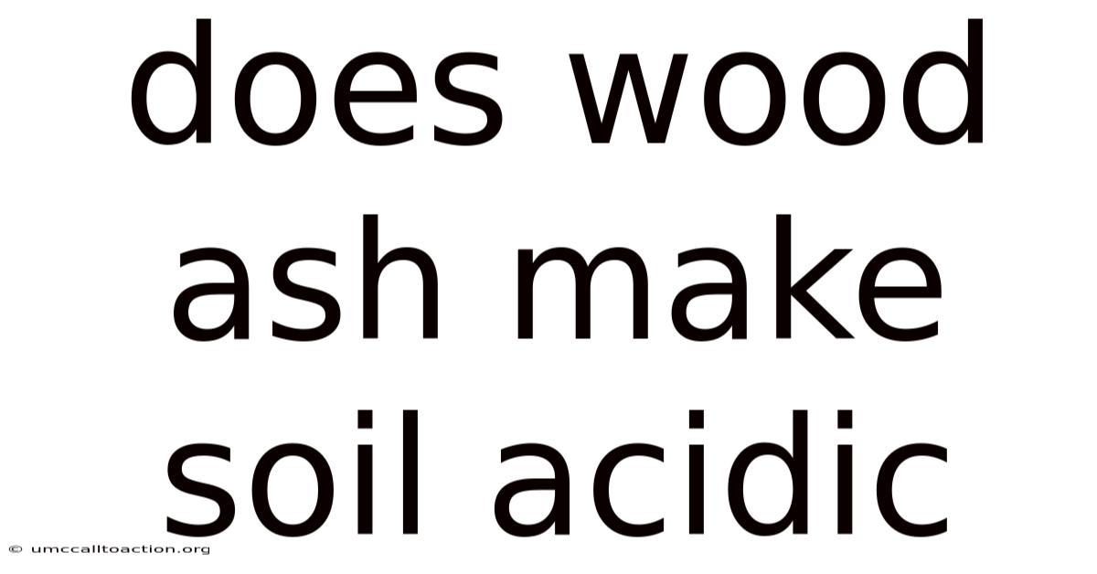 Does Wood Ash Make Soil Acidic