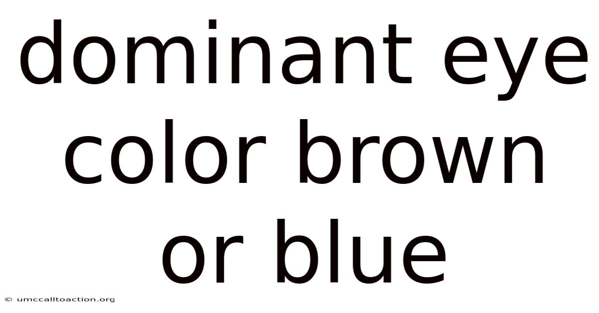 Dominant Eye Color Brown Or Blue