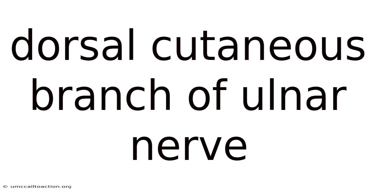 Dorsal Cutaneous Branch Of Ulnar Nerve