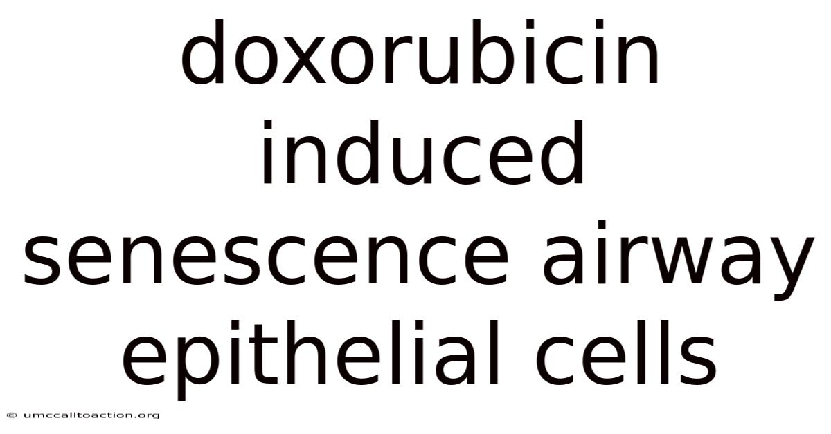Doxorubicin Induced Senescence Airway Epithelial Cells