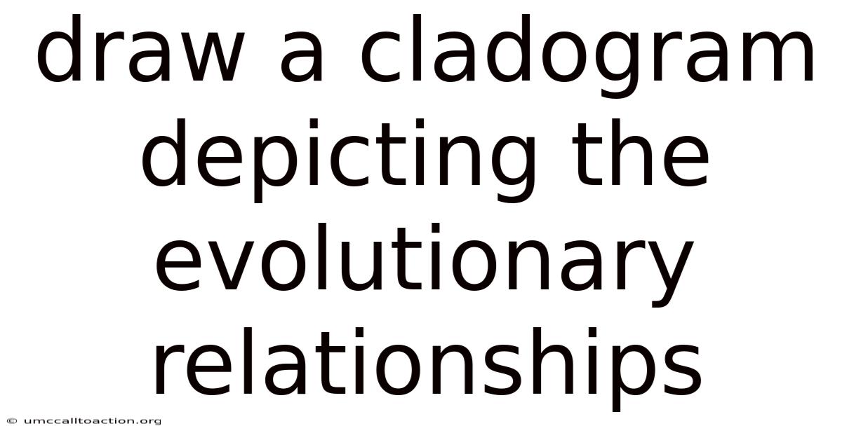 Draw A Cladogram Depicting The Evolutionary Relationships