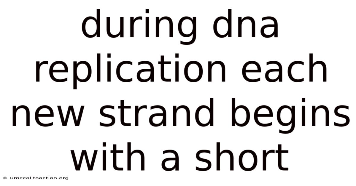 During Dna Replication Each New Strand Begins With A Short