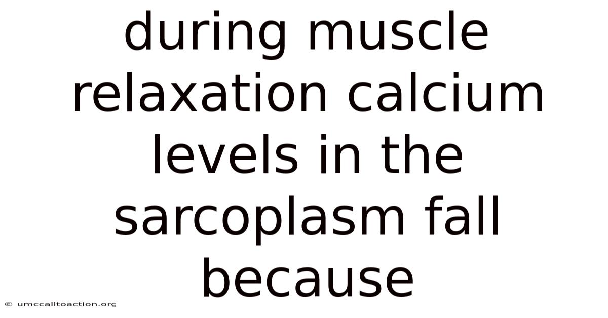 During Muscle Relaxation Calcium Levels In The Sarcoplasm Fall Because
