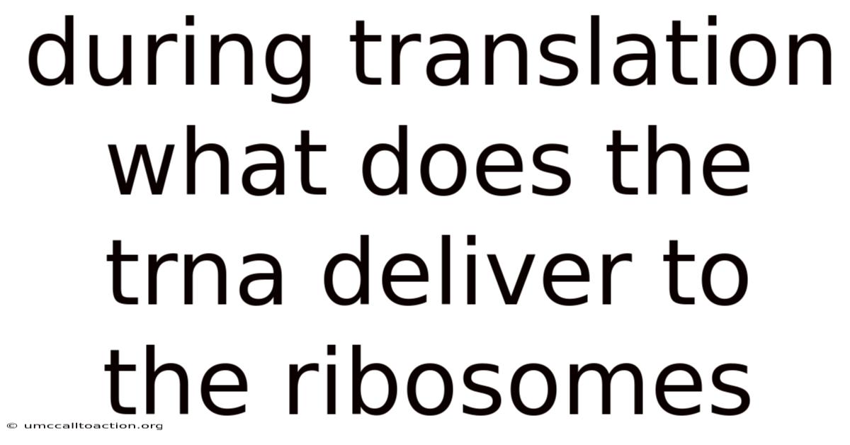 During Translation What Does The Trna Deliver To The Ribosomes