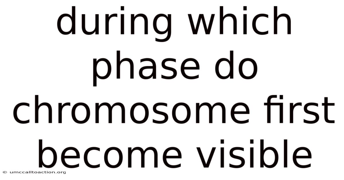 During Which Phase Do Chromosome First Become Visible