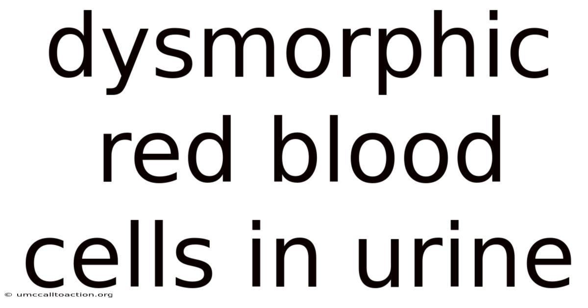 Dysmorphic Red Blood Cells In Urine