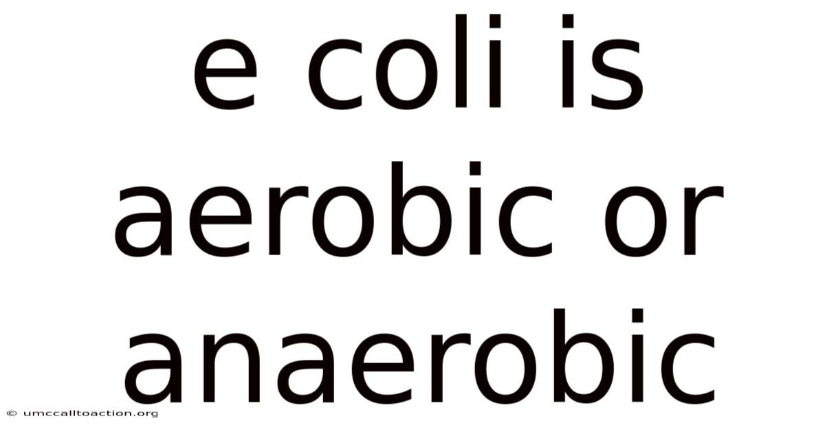 E Coli Is Aerobic Or Anaerobic