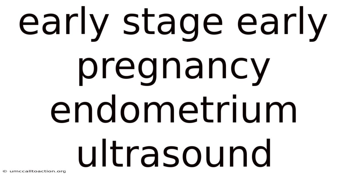 Early Stage Early Pregnancy Endometrium Ultrasound