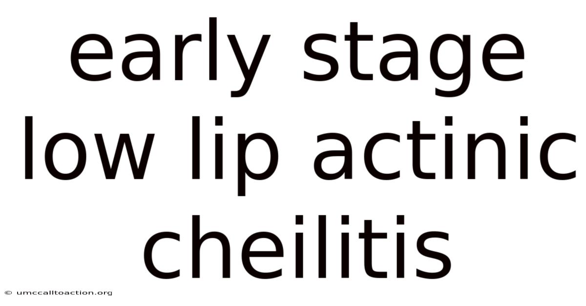 Early Stage Low Lip Actinic Cheilitis