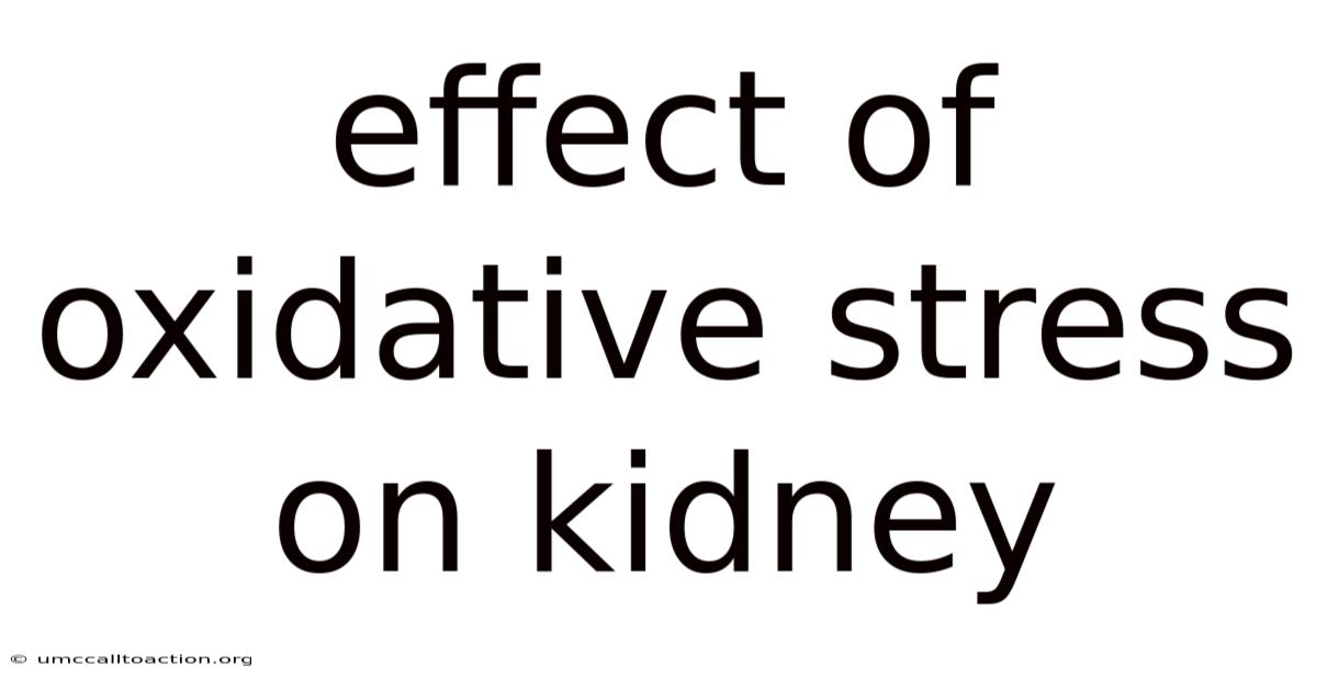 Effect Of Oxidative Stress On Kidney