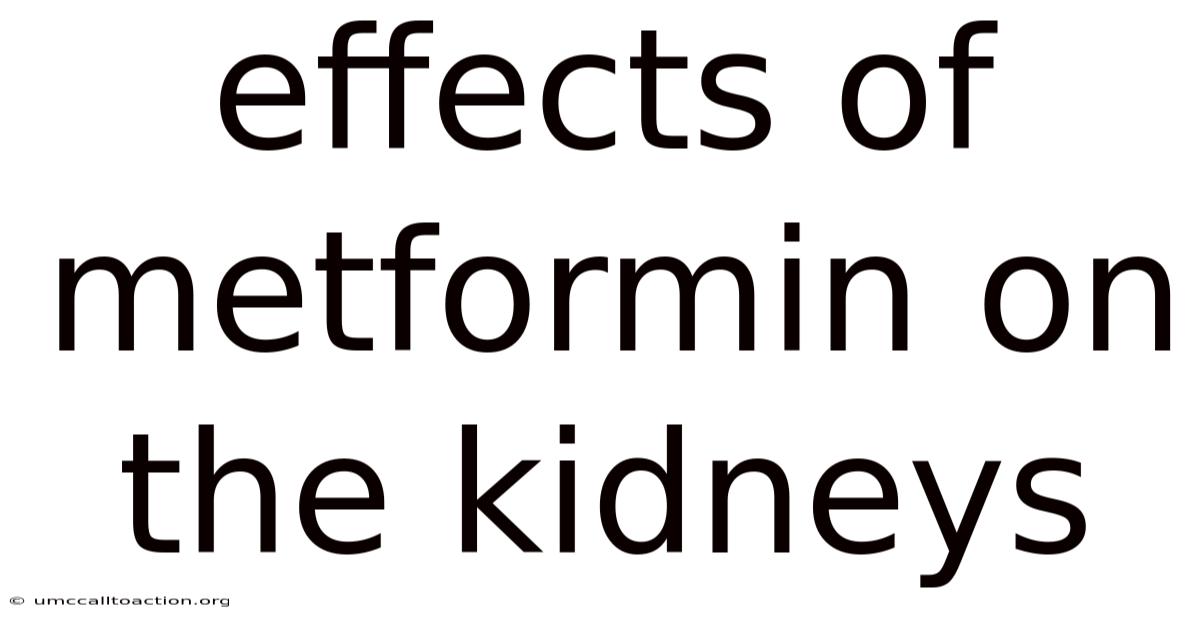 Effects Of Metformin On The Kidneys