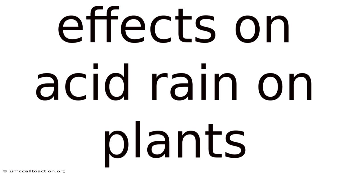 Effects On Acid Rain On Plants
