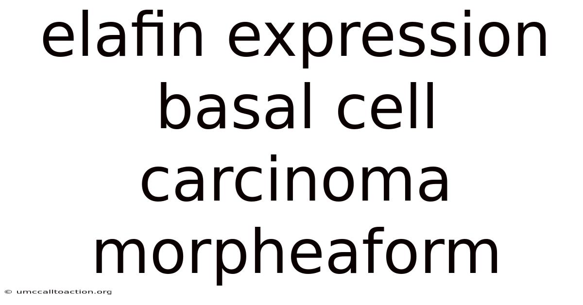 Elafin Expression Basal Cell Carcinoma Morpheaform