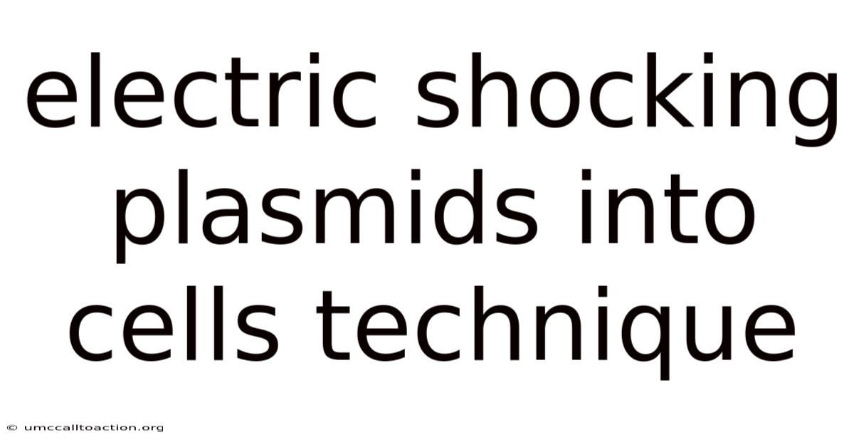 Electric Shocking Plasmids Into Cells Technique