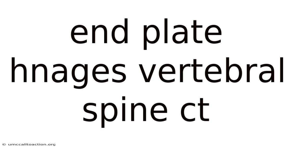 End Plate Hnages Vertebral Spine Ct