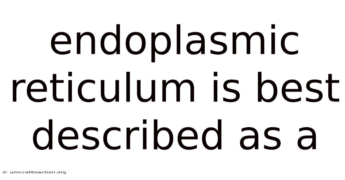 Endoplasmic Reticulum Is Best Described As A