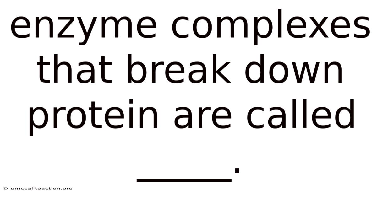 Enzyme Complexes That Break Down Protein Are Called _____.