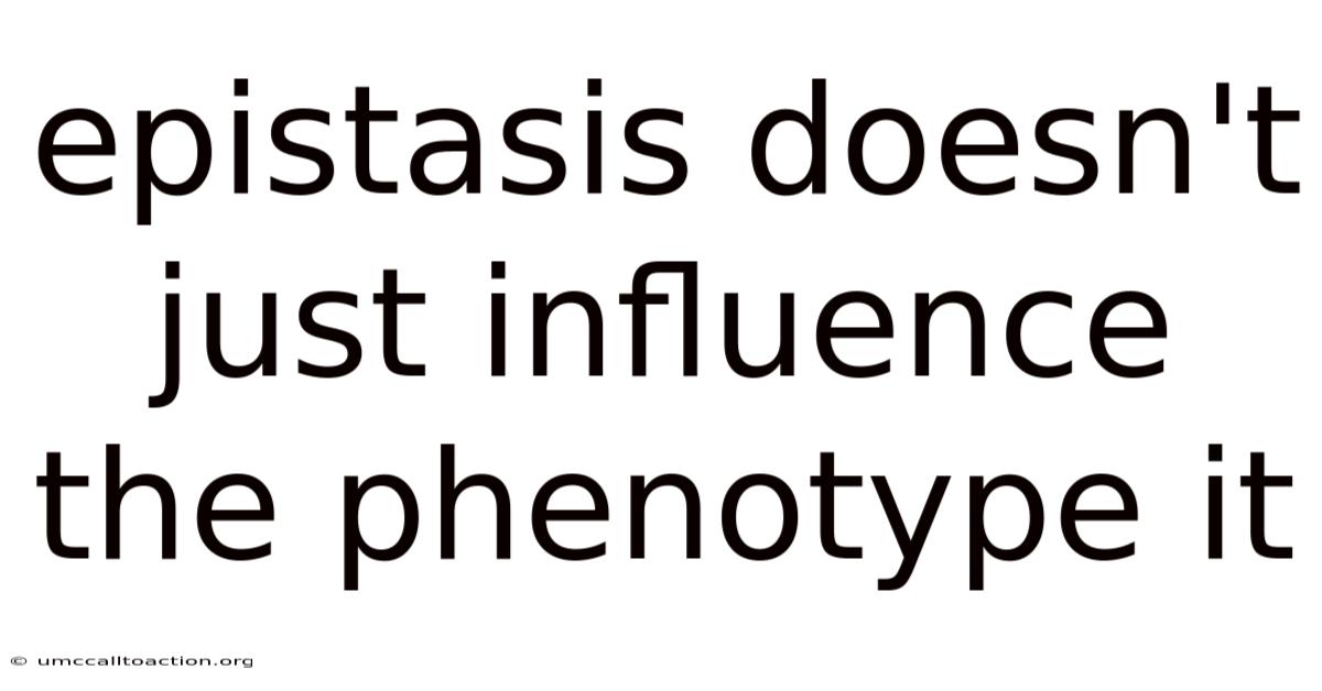 Epistasis Doesn't Just Influence The Phenotype It