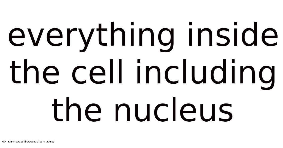 Everything Inside The Cell Including The Nucleus