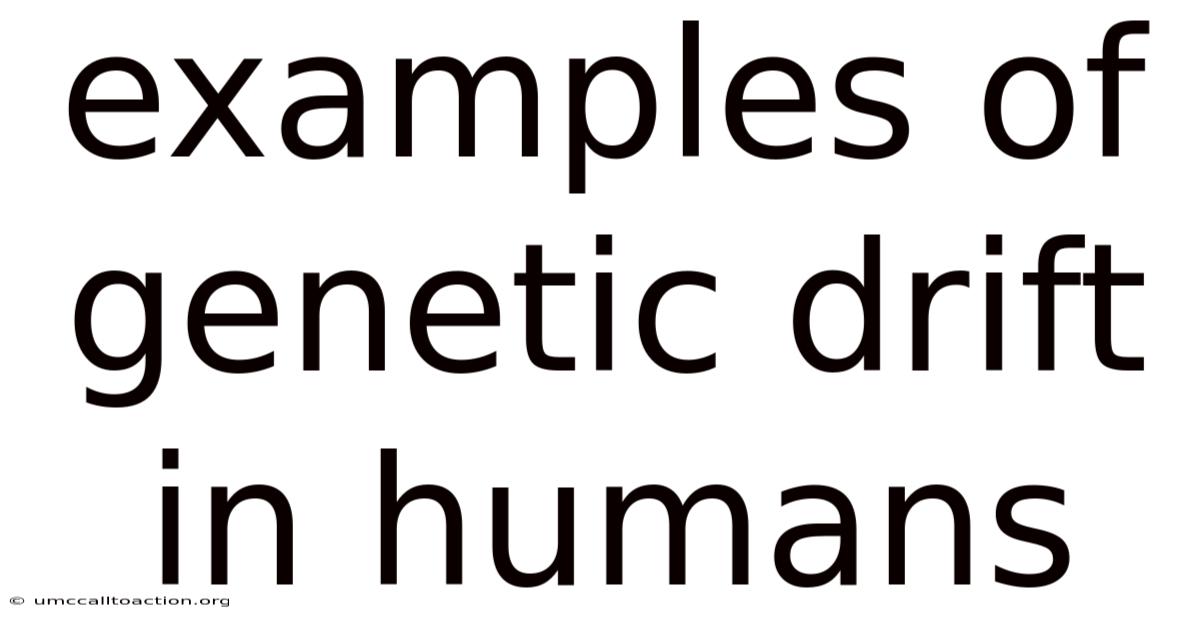 Examples Of Genetic Drift In Humans