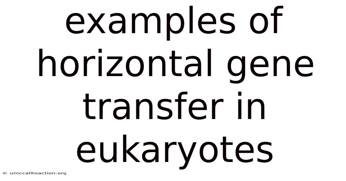 Examples Of Horizontal Gene Transfer In Eukaryotes