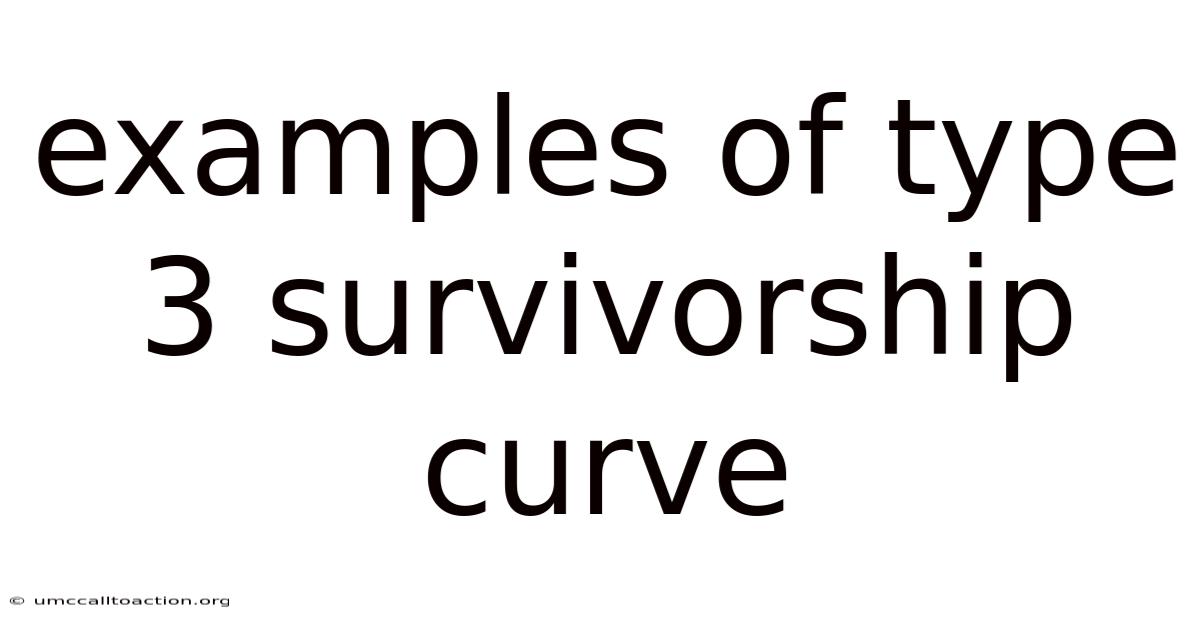 Examples Of Type 3 Survivorship Curve