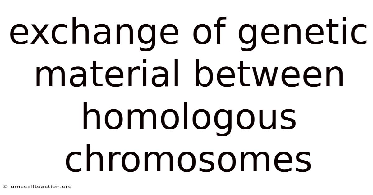 Exchange Of Genetic Material Between Homologous Chromosomes