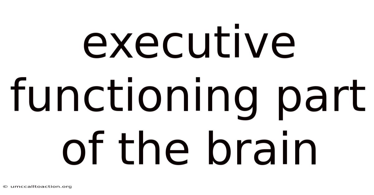 Executive Functioning Part Of The Brain