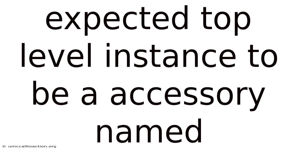 Expected Top Level Instance To Be A Accessory Named