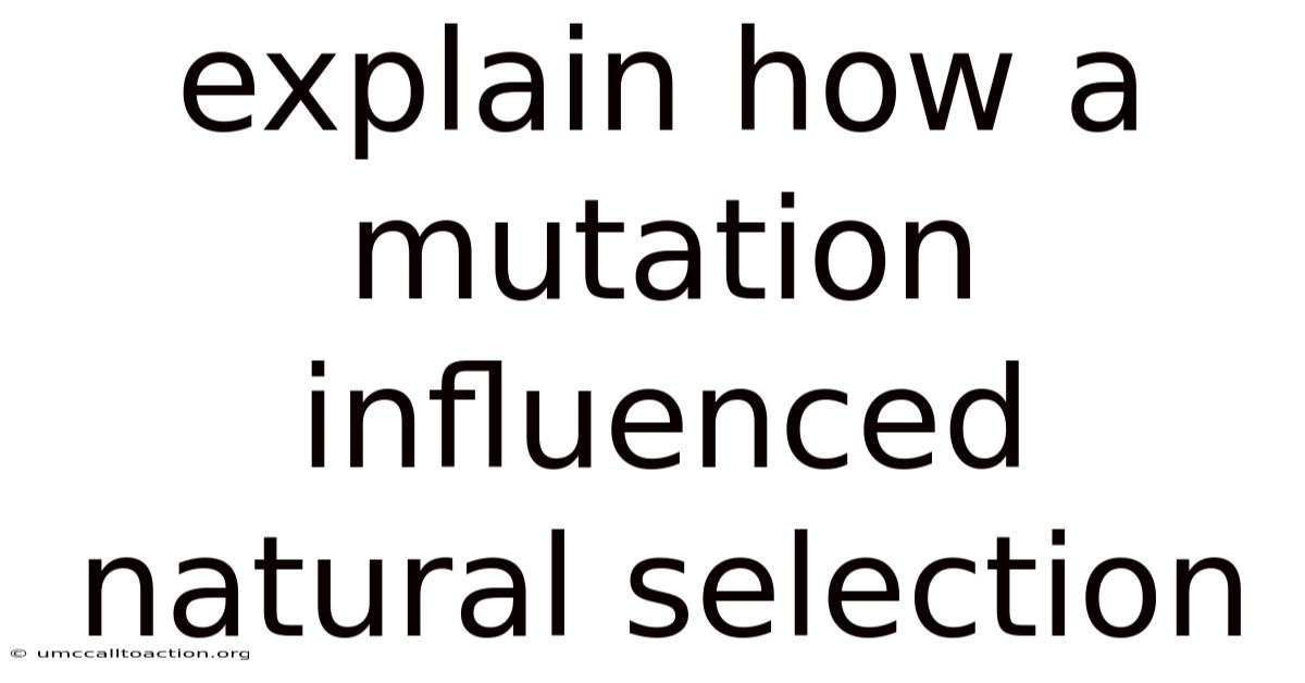 Explain How A Mutation Influenced Natural Selection