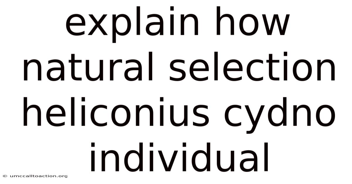 Explain How Natural Selection Heliconius Cydno Individual